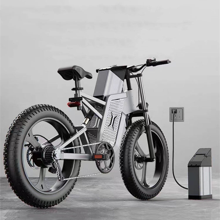 Off-road E-Bike Alumina