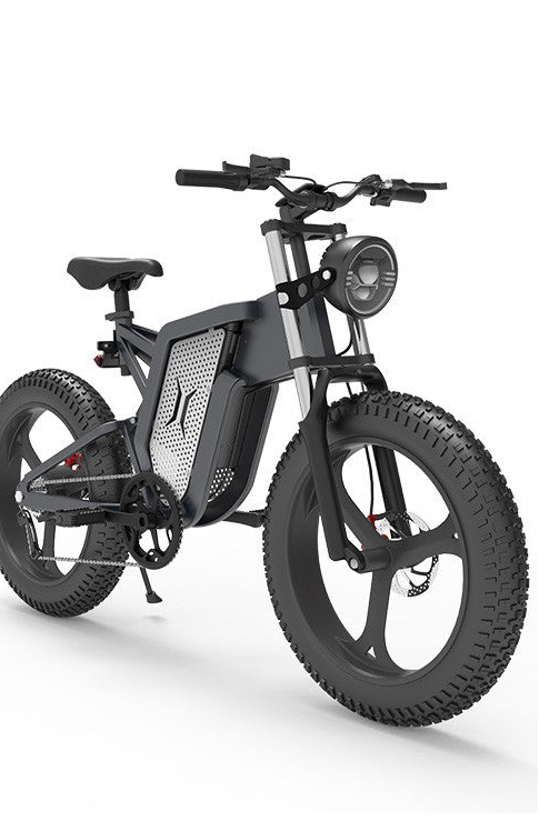 Off-road E-Bike Alumina