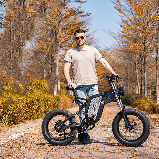 Off-road E-Bike Alumina